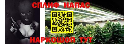 соль ск Дубна