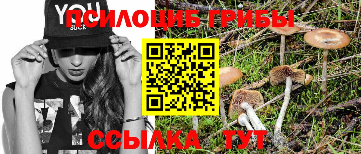 Галлюциногенные грибы мухоморы Можайск