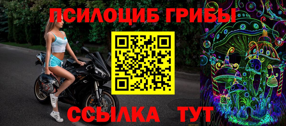 Галлюциногенные грибы Psilocybine cubensis  Галлюциногенные грибы мухоморы  Вход с VPN  Можайск 